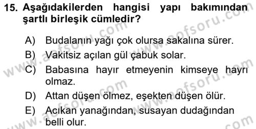 Türkçe Cümle Bilgisi 2 Dersi 2023 - 2024 Yılı (Vize) Ara Sınav Soruları 15. Soru
