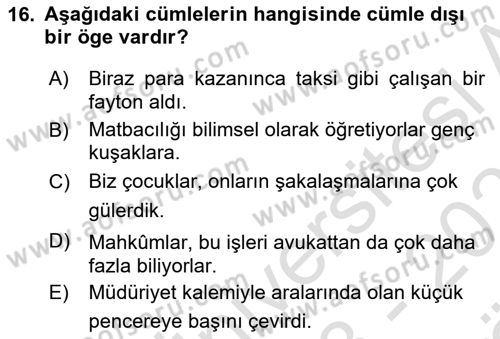 Türkçe Cümle Bilgisi 2 Dersi 2023 - 2024 Yılı (Vize) Ara Sınav Soruları 16. Soru