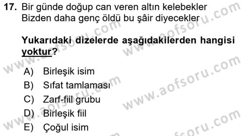 Türkçe Cümle Bilgisi 2 Dersi 2023 - 2024 Yılı (Vize) Ara Sınav Soruları 17. Soru