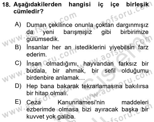 Türkçe Cümle Bilgisi 2 Dersi 2023 - 2024 Yılı (Vize) Ara Sınav Soruları 18. Soru