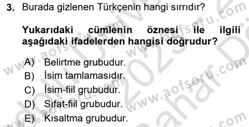 Türkçe Cümle Bilgisi 2 Dersi 2023 - 2024 Yılı (Vize) Ara Sınav Soruları 3. Soru