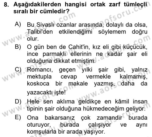 Türkçe Cümle Bilgisi 2 Dersi 2023 - 2024 Yılı (Vize) Ara Sınav Soruları 8. Soru