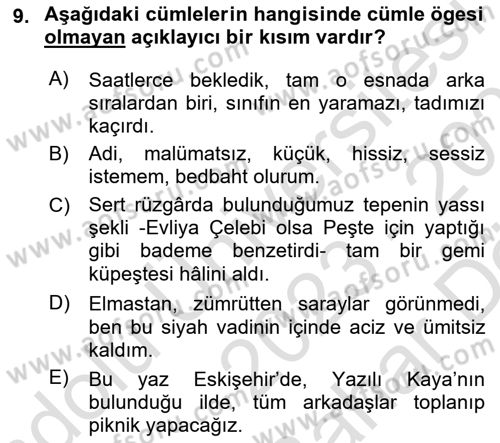 Türkçe Cümle Bilgisi 2 Dersi 2023 - 2024 Yılı (Vize) Ara Sınav Soruları 9. Soru