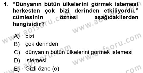 Türkçe Cümle Bilgisi 2 Dersi 2023 - 2024 Yılı (Final) Dönem Sonu Sınav Soruları 1. Soru