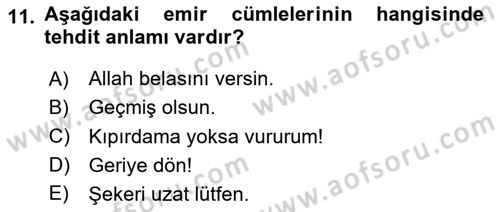 Türkçe Cümle Bilgisi 2 Dersi 2023 - 2024 Yılı (Final) Dönem Sonu Sınav Soruları 11. Soru