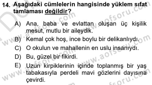 Türkçe Cümle Bilgisi 2 Dersi 2023 - 2024 Yılı (Final) Dönem Sonu Sınav Soruları 14. Soru