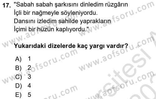 Türkçe Cümle Bilgisi 2 Dersi 2023 - 2024 Yılı (Final) Dönem Sonu Sınav Soruları 17. Soru
