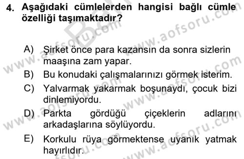 Türkçe Cümle Bilgisi 2 Dersi 2023 - 2024 Yılı (Final) Dönem Sonu Sınav Soruları 4. Soru