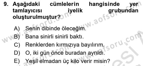 Türkçe Cümle Bilgisi 2 Dersi 2023 - 2024 Yılı (Final) Dönem Sonu Sınav Soruları 9. Soru
