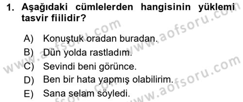 Türkçe Cümle Bilgisi 2 Dersi 2023 - 2024 Yılı Yaz Okulu Sınav Soruları 1. Soru