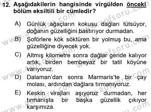 Türkçe Cümle Bilgisi 2 Dersi 2023 - 2024 Yılı Yaz Okulu Sınav Soruları 12. Soru