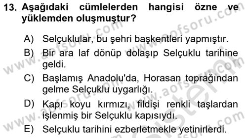 Türkçe Cümle Bilgisi 2 Dersi 2023 - 2024 Yılı Yaz Okulu Sınav Soruları 13. Soru
