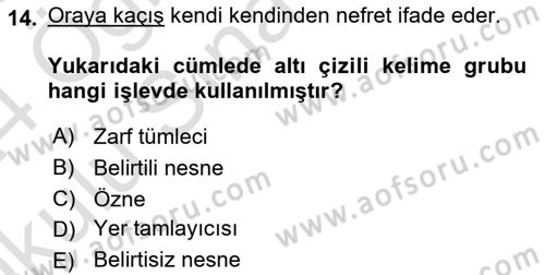 Türkçe Cümle Bilgisi 2 Dersi 2023 - 2024 Yılı Yaz Okulu Sınav Soruları 14. Soru