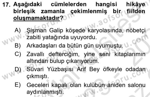 Türkçe Cümle Bilgisi 2 Dersi 2023 - 2024 Yılı Yaz Okulu Sınav Soruları 17. Soru