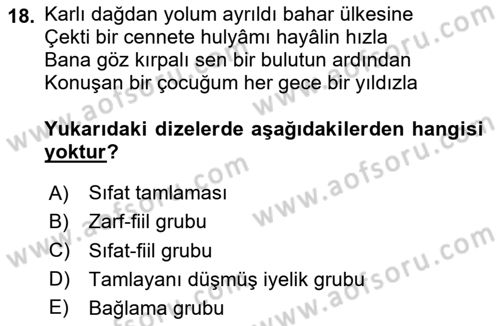 Türkçe Cümle Bilgisi 2 Dersi 2023 - 2024 Yılı Yaz Okulu Sınav Soruları 18. Soru