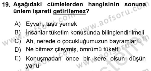 Türkçe Cümle Bilgisi 2 Dersi 2023 - 2024 Yılı Yaz Okulu Sınav Soruları 19. Soru