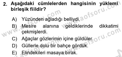 Türkçe Cümle Bilgisi 2 Dersi 2023 - 2024 Yılı Yaz Okulu Sınav Soruları 2. Soru