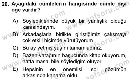 Türkçe Cümle Bilgisi 2 Dersi 2023 - 2024 Yılı Yaz Okulu Sınav Soruları 20. Soru