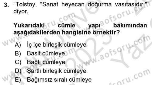 Türkçe Cümle Bilgisi 2 Dersi 2023 - 2024 Yılı Yaz Okulu Sınav Soruları 3. Soru
