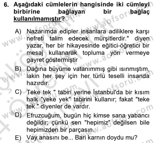 Türkçe Cümle Bilgisi 2 Dersi 2023 - 2024 Yılı Yaz Okulu Sınav Soruları 6. Soru