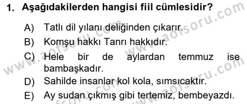 Türkçe Cümle Bilgisi 2 Dersi 2024 - 2025 Yılı (Vize) Ara Sınav Soruları 1. Soru