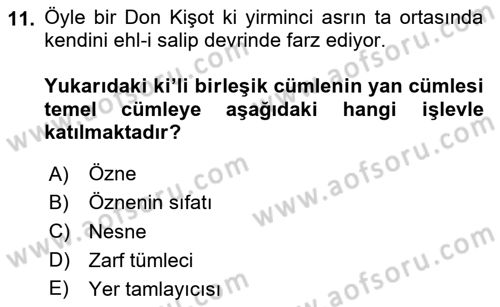 Türkçe Cümle Bilgisi 2 Dersi 2024 - 2025 Yılı (Vize) Ara Sınav Soruları 11. Soru