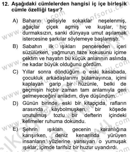 Türkçe Cümle Bilgisi 2 Dersi 2024 - 2025 Yılı (Vize) Ara Sınav Soruları 12. Soru