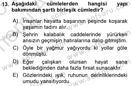 Türkçe Cümle Bilgisi 2 Dersi 2024 - 2025 Yılı (Vize) Ara Sınav Soruları 13. Soru