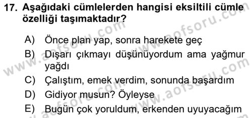 Türkçe Cümle Bilgisi 2 Dersi 2024 - 2025 Yılı (Vize) Ara Sınav Soruları 17. Soru