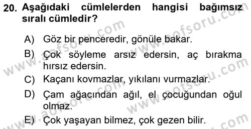 Türkçe Cümle Bilgisi 2 Dersi 2024 - 2025 Yılı (Vize) Ara Sınav Soruları 20. Soru