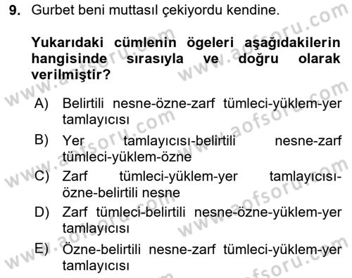 Türkçe Cümle Bilgisi 2 Dersi 2024 - 2025 Yılı (Vize) Ara Sınav Soruları 9. Soru