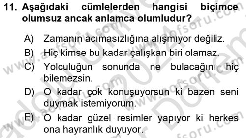 Türkçe Cümle Bilgisi 2 Dersi 2024 - 2025 Yılı (Final) Dönem Sonu Sınav Soruları 11. Soru