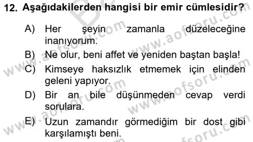 Türkçe Cümle Bilgisi 2 Dersi 2024 - 2025 Yılı (Final) Dönem Sonu Sınav Soruları 12. Soru