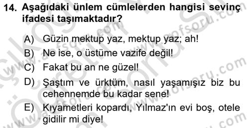 Türkçe Cümle Bilgisi 2 Dersi 2024 - 2025 Yılı (Final) Dönem Sonu Sınav Soruları 14. Soru