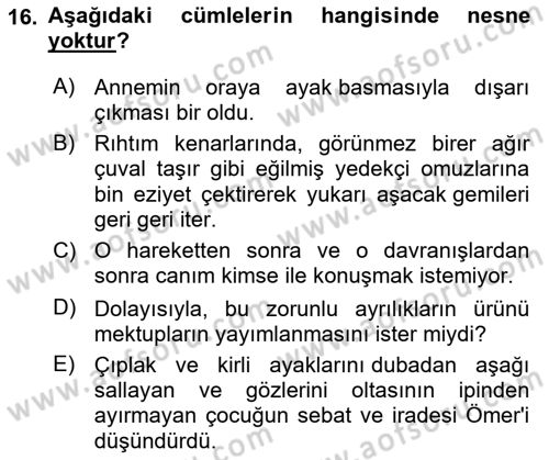 Türkçe Cümle Bilgisi 2 Dersi 2024 - 2025 Yılı (Final) Dönem Sonu Sınav Soruları 16. Soru