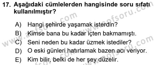 Türkçe Cümle Bilgisi 2 Dersi 2024 - 2025 Yılı (Final) Dönem Sonu Sınav Soruları 17. Soru