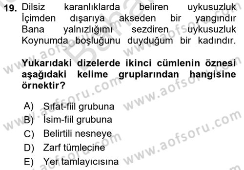 Türkçe Cümle Bilgisi 2 Dersi 2024 - 2025 Yılı (Final) Dönem Sonu Sınav Soruları 19. Soru
