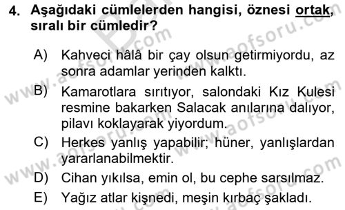 Türkçe Cümle Bilgisi 2 Dersi 2024 - 2025 Yılı (Final) Dönem Sonu Sınav Soruları 4. Soru