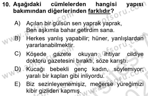 Türkçe Cümle Bilgisi 2 Dersi 2024 - 2025 Yılı Yaz Okulu Sınav Soruları 10. Soru