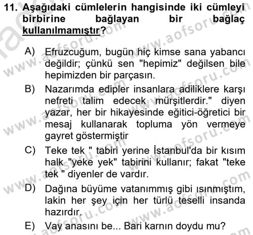 Türkçe Cümle Bilgisi 2 Dersi 2024 - 2025 Yılı Yaz Okulu Sınav Soruları 11. Soru
