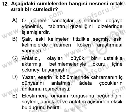 Türkçe Cümle Bilgisi 2 Dersi 2024 - 2025 Yılı Yaz Okulu Sınav Soruları 12. Soru