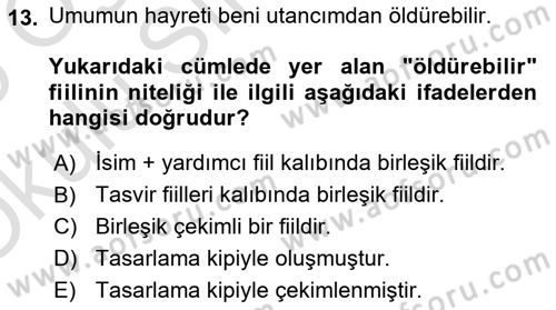 Türkçe Cümle Bilgisi 2 Dersi 2024 - 2025 Yılı Yaz Okulu Sınav Soruları 13. Soru