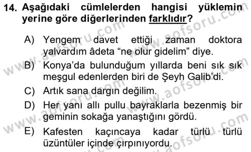 Türkçe Cümle Bilgisi 2 Dersi 2024 - 2025 Yılı Yaz Okulu Sınav Soruları 14. Soru
