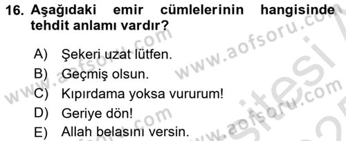 Türkçe Cümle Bilgisi 2 Dersi 2024 - 2025 Yılı Yaz Okulu Sınav Soruları 16. Soru