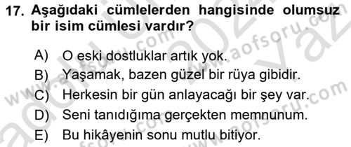 Türkçe Cümle Bilgisi 2 Dersi 2024 - 2025 Yılı Yaz Okulu Sınav Soruları 17. Soru