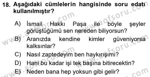 Türkçe Cümle Bilgisi 2 Dersi 2024 - 2025 Yılı Yaz Okulu Sınav Soruları 18. Soru