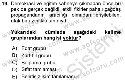 Türkçe Cümle Bilgisi 2 Dersi 2024 - 2025 Yılı Yaz Okulu Sınav Soruları 19. Soru
