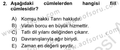 Türkçe Cümle Bilgisi 2 Dersi 2024 - 2025 Yılı Yaz Okulu Sınav Soruları 2. Soru