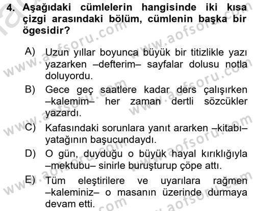 Türkçe Cümle Bilgisi 2 Dersi 2024 - 2025 Yılı Yaz Okulu Sınav Soruları 4. Soru