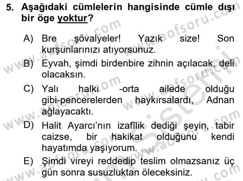 Türkçe Cümle Bilgisi 2 Dersi 2024 - 2025 Yılı Yaz Okulu Sınav Soruları 5. Soru